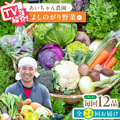 【12品 / 24回定期便】農薬に頼らない！カラダにやさしい「よしのがり野菜」セット（レギュラー）【吉野ヶ里あいちゃん農園】 [FAA007] 103395 - 佐賀県吉野ヶ里町