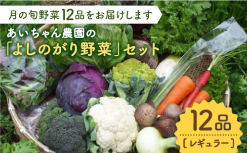 【12品】農薬に頼らない！カラダにやさしい「よしのがり野菜」セット（レギュラー）吉野ヶ里町/吉野ヶ里あいちゃん農園 [FAA005] 103397 - 佐賀県吉野ヶ里町