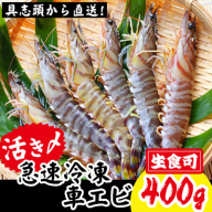 【訳アリ】活き〆急速冷凍車エビ（生食可・約400g）【先行受付】- 2024年11月から順次発送 海老 車えび 車海老 冷凍 生エビ 国産 養殖 えび天 エビフライ 塩焼き 人気 沖縄県 八重瀬町