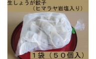 ヒマラヤ岩塩入り生しょうが餃子(22g×50個)
