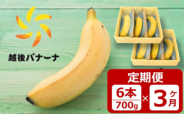 【数量限定】決済完了の翌月から3ヶ月連続で「越後バナーナ」6本（700g）をお届けします。■「越後バナーナ」とは「越後バナーナ」は産業廃棄物処理施設の排熱を利用して栽培された、環境にやさしい国産バナナ