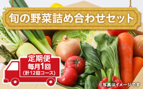 田舎の頑固おやじ厳選！【定期便】旬の野菜詰め合わせセット 毎月1回(計12回コース) [BI04-NT] 103415 - 茨城県つくばみらい市