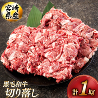 黒毛和牛 切り落とし 500g×2 計1kg [アグリ産業匠泰 宮崎県 美郷町 31be0048] 小分け 牛肉 切落し モモ バラ 牛丼 肉じゃが しぐれ煮 煮込み 炒め 焼肉 普段使い 調理 おかず 料理 国産 送料無料 パック 牛 すき煮 肉豆腐 甘辛煮 ハヤシライス すき焼き