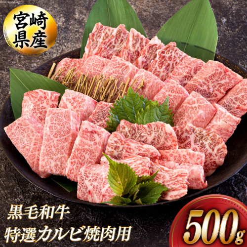 黒毛和牛 特選 カルビ 焼肉 500g [アグリ産業匠泰 宮崎県 美郷町 31be0049] 牛肉 炒め BBQ バーベキュー キャンプ 普段使い 調理 おかず 料理 国産 送料無料 パック 厳選 カルビ丼 クッパ 焼肉丼 スープ チャーハン 生春巻き マリネ 照り焼き 甘辛炒め チンジャオロース 青椒肉絲 1034245 - 宮崎県美郷町