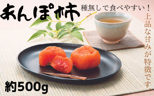 紀州かつらぎ山のあんぽ柿 化粧箱入 約500g【uot736】 1034266 - 和歌山県紀美野町