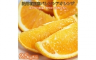秀品　希少な国産バレンシアオレンジ　2.5kg　※2024年6月下旬頃～7月上旬頃順次発送（お届け日指定不可）/ みかん 蜜柑 フルーツ 果物 くだもの オレンジ バレンシアオレンジ