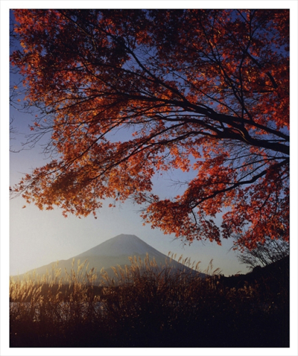 富士山写真大賞 額装写真「晩秋　精進湖にて」(全紙 額装サイズ約530×640mm) FAA2018 103432 - 山梨県富士河口湖町