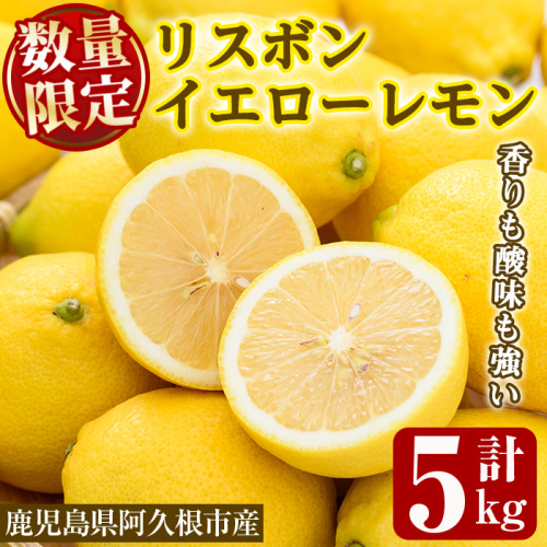 数量限定！リスボンイエローレモン(5kg) 国産 果実 果物 リスボンレモン フルーツ 檸檬 柑橘 デザート 期間限定【桐野柑橘株式会社】akn070-15 1034348 - 鹿児島県阿久根市