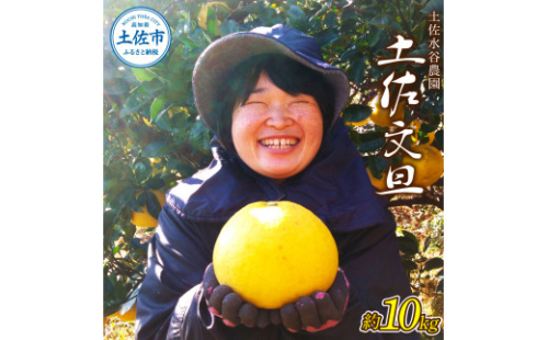 土佐水谷農園の露地土佐文旦 約10キロ  1034766 - 高知県土佐市