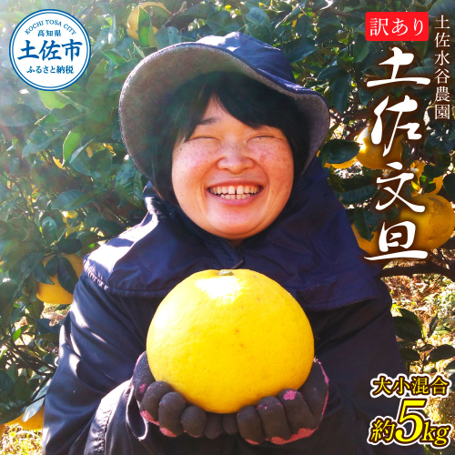 本場、高知県土佐市産！土佐水谷農園の露地土佐文旦 家庭用約5キロ 5kg 大小混合（L - 上限なし：8玉前後） 訳あり 文旦 ぶんたん ブンタン 土佐文旦 ご自宅用 柑橘 フルーツ 果物 土佐 高知 1034770 - 高知県土佐市