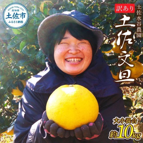 本場、高知県土佐市産！土佐水谷農園の露地土佐文旦 家庭用10キロ 10kg 大小混合（L - 上限なし：16玉前後） 訳あり 文旦 ぶんたん ブンタン 土佐文旦 ご自宅用 柑橘 フルーツ 果物 土佐 高知 1034771 - 高知県土佐市