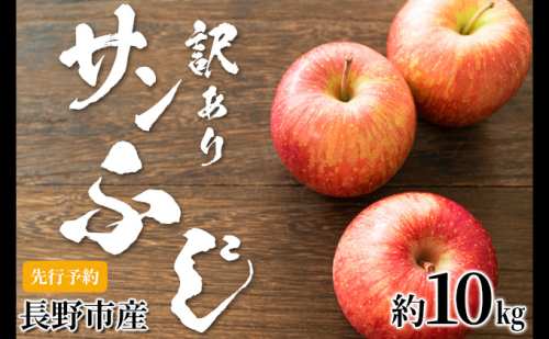 【2023年12月～2024年3月発送 先行予約】 訳あり りんご 長野市産 サンふじ 約 10kg 果物 フルーツ 食後 デザート 豊富な果汁 信州産 長野りんご 信州のりんご  1035070 - 長野県長野市