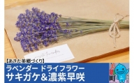 秋田県美郷町産ラベンダー ドライフラワー サキガケ 濃紫早咲 2品種混在
