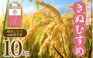 和歌山県産の お米 きぬむすめ 10kg (2023年産) 産地直送 / 米 こめ ご飯 ごはん 白米 国産 和歌山県産