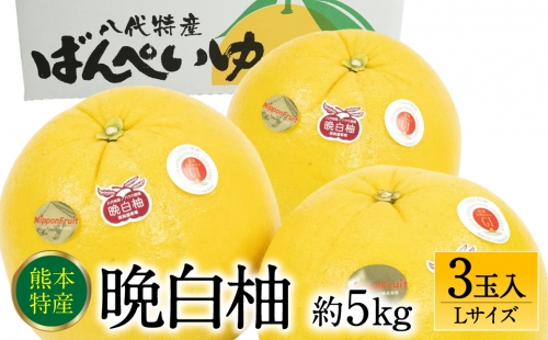 【先行予約】 晩白柚Lサイズ 3玉入り 約5kg 【2024年12月中旬より順次発送】 1035347 - 熊本県八代市