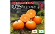 ▼お試し用 せとか 2.5kg サイズ混合【創業120年農家直送】 ※2025年3月より順次発送予定 ※着日指定不可 【isy014-ota-2d5】