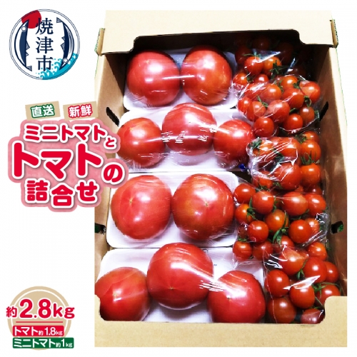 a11-121　トマト ミニトマト 詰合せ 約2.8kg 直送 セット 1035497 - 静岡県焼津市