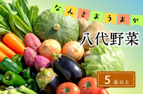 なんさまうまか八代野菜セット 5品以上 やさい 詰め合わせ 熊本県産 1035504 - 熊本県八代市