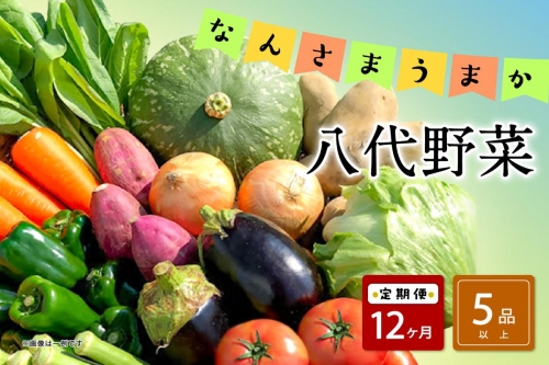 【定期便12回】なんさまうまか八代野菜セット 5品以上 やさい 詰め合わせ 熊本県産 1035505 - 熊本県八代市