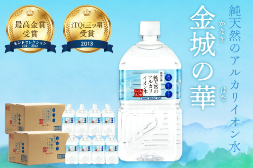ミネラルウォーター 金城の華 1L 12本入 2箱 飲料水 水 アルカリイオン水 【043_1839】 1035508 - 島根県浜田市