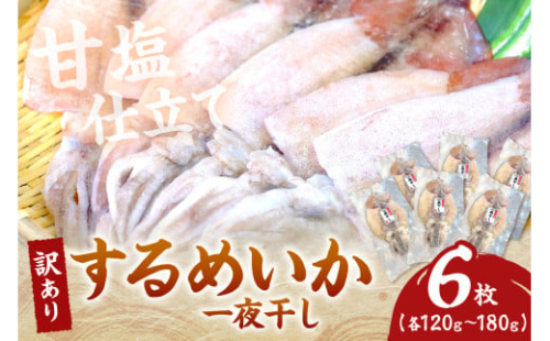 【訳あり】 するめいか一夜干し（１２０g～１８０gｘ6枚） 魚介類 いか するめいか 一夜干し 加工品 おつまみ 訳あり 【136_1837】 1035510 - 島根県浜田市