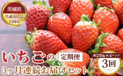 No.370 いちごの3ヶ月連続お届けセット（約250g×4パック）×3回【茨城県共通返礼品 石岡市】 ／ 旬 新鮮 苺 イチゴ 果物 フルーツ 茨城県 特産品 1035684 - 茨城県坂東市