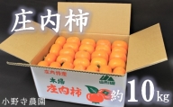 【先行予約】小野寺農園の庄内柿1箱約10kg
