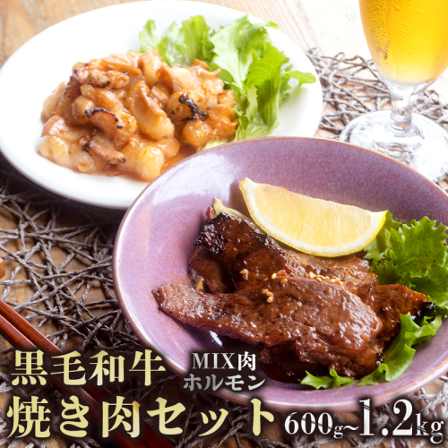 A5 黒毛和牛 焼肉セット MIX肉＆ホルモン 1.2kg 150g小分けパック 冷凍 自家製 旨辛タレ 味付け肉 揉み込み 牛肉 焼き肉 モモ カルビ ロース ミックス 上ホルモン 牛ホルモン 熨斗 ギフト 御歳暮 お歳暮 プレゼント 贈答 熨斗 御中元 お中元 夏ギフト 103609 - 京都府舞鶴市