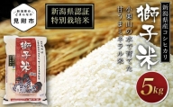 米 5kg 新潟県産 コシヒカリ 特別栽培米 令和5年産 「獅子米」 精米したてをお届け 新潟のど真ん中見附市 こしひかり 県認証米