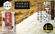 米 定期便 （10kg×4か月） 合計40kg 新潟県産 コシヒカリ 特別栽培米 令和5年産 「獅子米」 精米したてをお届け 新潟のど真ん中見附市 こしひかり 県認証米