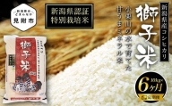 新潟 特別栽培米 令和5年産 コシヒカリ 「獅子米」 精米 60kg ( 10kg×6ヶ月 ）定期便 精米 したてを お届け 新潟 のど真ん中 見附市 こしひかり 米 お米 白米 国産 ごはん ご飯 県認証米 安心安全