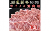 『希少部位』A5等級飛騨牛カイノミ焼肉用300g【1432030】