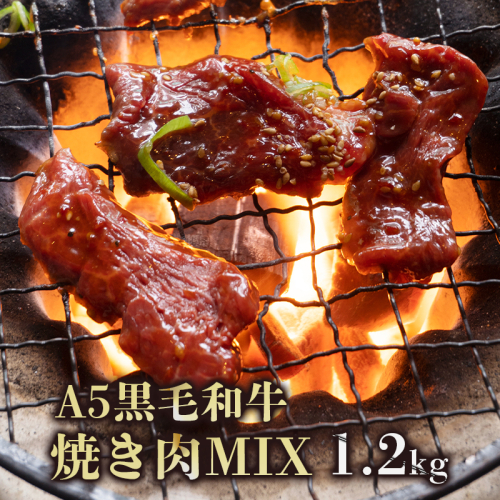 A5 黒毛和牛 焼肉セット MIX肉＆ホルモン 1.2kg 150g小分けパック 冷凍 自家製 旨辛タレ 味付け肉 揉み込み 牛肉 焼き肉 モモ カルビ ロース ミックス 上ホルモン 牛ホルモン 熨斗 ギフト 御歳暮 お歳暮 プレゼント 贈答 熨斗 御中元 お中元 夏ギフト 103640 - 京都府舞鶴市