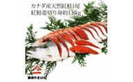 天然紅鮭 1尾姿切身 甘塩 約1.8kg【1429656】