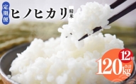 N10 【定期便】奈良県産 ヒノヒカリ 精米 10kg × 12回 合計 120kg (12回お届け)