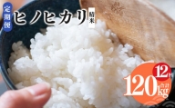 【 定期便 12回 】新米 奈良県産 ヒノヒカリ 精米 10kg （ 計120kg ） 米