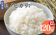 【 定期便 12回 】奈良県産 ヒノヒカリ 精米 10kg （ 計120kg ） 米
