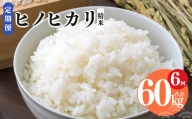 【 定期便 6回 】奈良県産 ヒノヒカリ 精米 10kg （ 計60kg ） 米