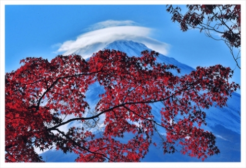 富士山写真大賞  額装写真「紅白の富士　河口湖大石より」(全紙  フレームサイズ約530×640mm) 103797 - 山梨県富士河口湖町