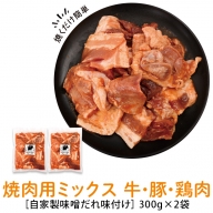 焼肉用 ミックス 牛肉 豚肉 鶏肉 まぜまぜ 自家製味噌ダレ味付き 300g×2