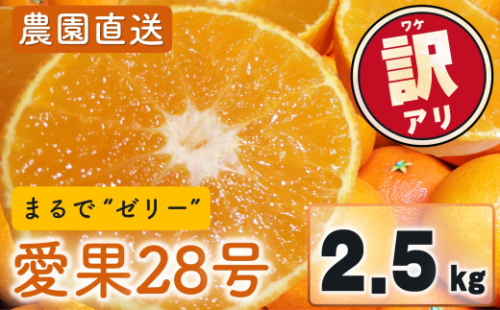 愛果28号 (紅まどんな と同品種) 訳あり 家庭用  2.5kg (約6～15個) 光センサー選別 【2026年11月下旬頃から順次発送】 訳あり 不揃い 柑橘 果物 フルーツ あいか みかん 松山市 愛媛県