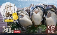 [厳選!]日生頭島大粒殻付き牡蠣「島のしずく」(加熱用・20個)と「島レモン」
