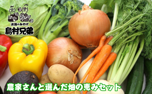 農家さんと選んだ畑の恵みセット　[野菜セット 野菜詰め合わせ] 1039611 - 兵庫県淡路市