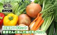 【定期便１年セット】農家さんと選んだ畑の恵みセット　[野菜セット 野菜詰め合わせ]