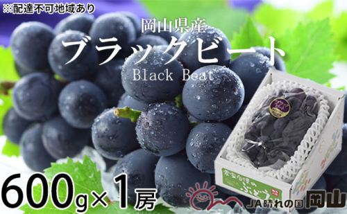 ぶどう 2024年 先行予約 ブラックビート 約600g×1房 ブドウ 葡萄  岡山県産 国産 フルーツ 果物 ギフト 1039732 - 岡山県玉野市