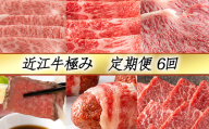 【定期便6回】【カネ吉山本】近江牛極み定期便-禄-【Y132W】