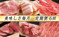 【カネ吉山本】近江牛 おいしさ毎月便−喜−（全6回定期便）（2023年9月改定）【Y092U】