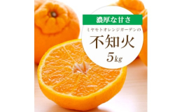愛媛県内でも屈指のブランド産地である西宇和地区八幡浜市産の「不知火」です。不知火(しらぬい)は、清見オレンジとポンカンが掛け合わされてできた品種です。凸の形が目印で、濃厚な甘味と酸味のバランスが絶妙。