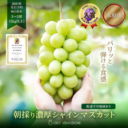 ぶどう 2026年 先行予約 ［ご家庭用］ シャイン マスカット3～5房（合計2kg以上） ブドウ 葡萄  岡山県産 国産 フルーツ 果物 OEC KINGDOM ぶどう家 果物類  1040628 - 岡山県玉野市