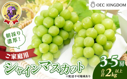 ぶどう 2026年 先行予約 ［ご家庭用］ シャイン マスカット3～5房（合計2kg以上） ブドウ 葡萄  岡山県産 国産 フルーツ 果物 OEC KINGDOM ぶどう家 果物類  1040628 - 岡山県玉野市